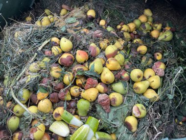 gübre için gübre çürüyen doğal kaynak