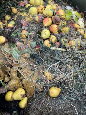 gübre için gübre çürüyen doğal kaynak