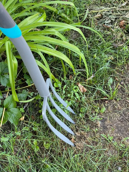 Ijzeren Hark Gereedschap Voor Het Werken Tuin Tuin Hooivork Drietand — Stockfoto