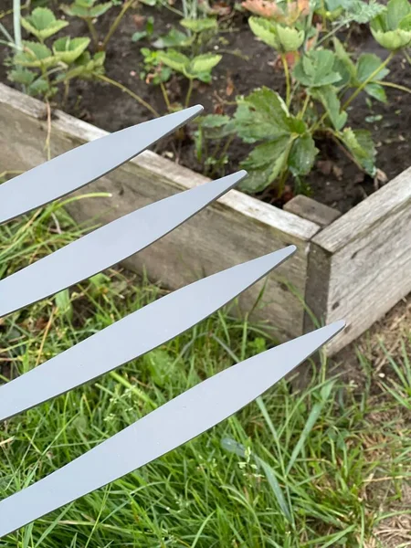 Ijzeren Hark Gereedschap Voor Het Werken Tuin Tuin Hooivork Drietand — Stockfoto