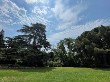 Park alanı büyük yeşil bitkiler, çalılar ve ağaçlar