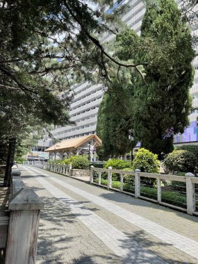 Park alanı büyük yeşil bitkiler, çalılar ve ağaçlar