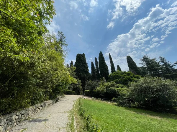 Park alanı büyük yeşil bitkiler, çalılar ve ağaçlar