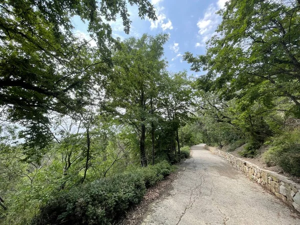 Park alanı büyük yeşil bitkiler, çalılar ve ağaçlar