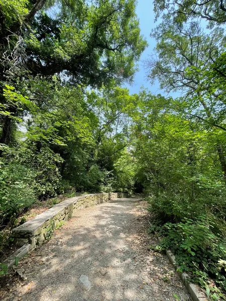 Park alanı büyük yeşil bitkiler, çalılar ve ağaçlar