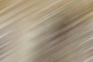 Yeni moda kahverengi arkaplan, bej yerleşim tabanı