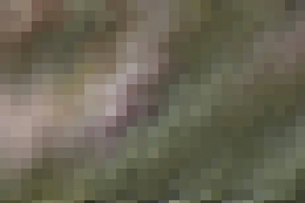 新しいトレンディーな茶色の背景 ベージュのレイアウトベース — ストック写真