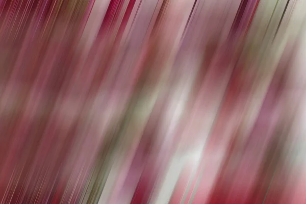 New Pink Blur Fashion Red Background Super Light Layout Base — Stock Photo, Image