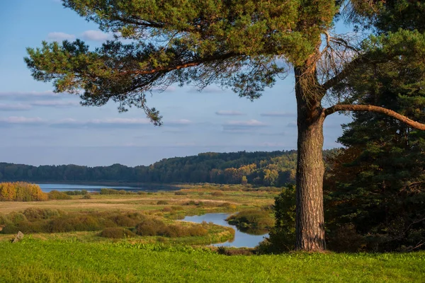 Krajobraz Wiejski Widokiem Rzekę Pola Wzgórza Puszkina Savkiną Gorką Rosja — Zdjęcie stockowe