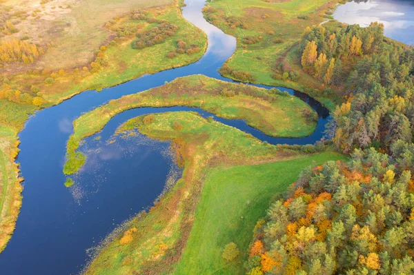 Прекрасний Ранній Осінній Краєвид Поле Річка Барвистий Ліс Пушкінська Гора — стокове фото