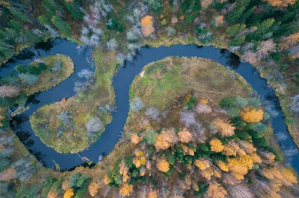 Der Fluss Wald Form Von Yin Und Yang Schleifen Lindulovskaya — Stockfoto