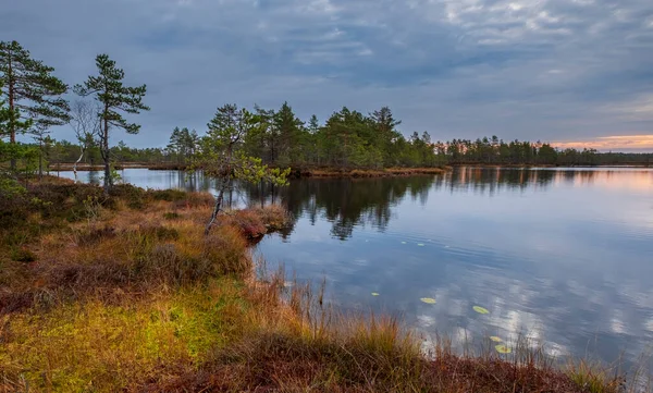 Rusya 'nın Leningrad bölgesindeki Boloto Özernoe' nun doğa koruma alanında, Sunrise 'daki kuzey bataklığında sonbahar manzarası