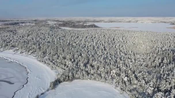 Národní Park Ladoga Skerries Zimě Karelii Ostrovy Sněhu Jezeře Ladoga — Stock video