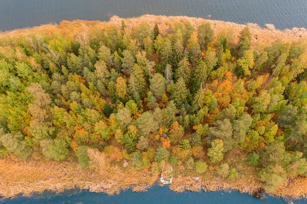 Bosque Colorido Otoño Norte Europa Junto Mar Lago Vista Aérea — Foto de Stock