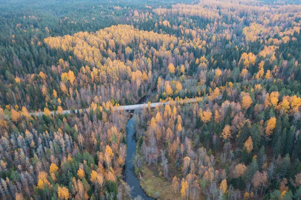 Straßenbrücke Über Den Fluss Einem Schönen Nördlichen Herbstwald Mit Gelben — Stockfoto