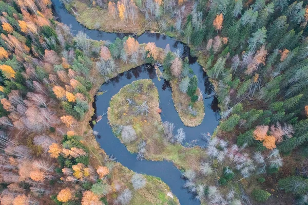 Fiume Nella Foresta Sotto Forma Anelli Yin Yang Lindulovskaya Boschetto — Foto Stock