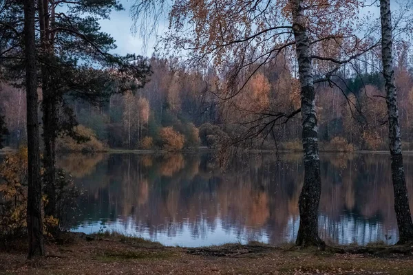 Belle Forêt Automne Bord Lac Soirée — Photo