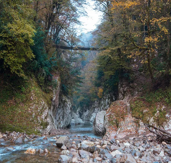 Ponte Sospeso Sul Boschetto Yew Boschetto Gola Del Diavolo Cancello — Foto Stock