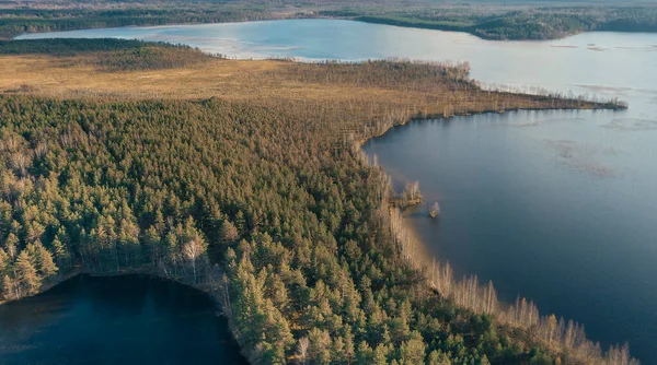 Озеро Хеподжарві Області Ленінградського Лісу Парк Екологічною Стежкою — стокове фото