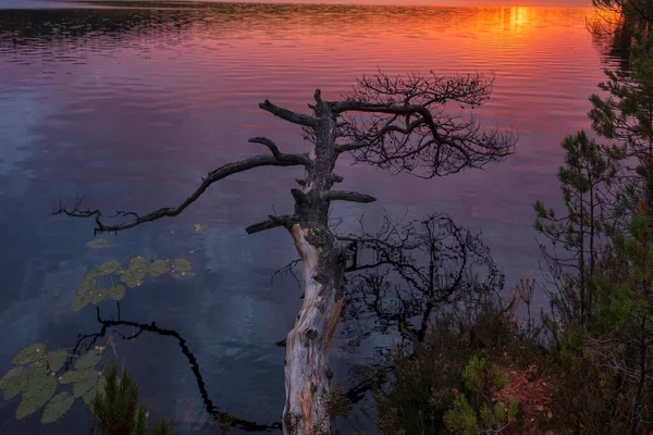 Lever Soleil Très Coloré Sur Lac Nord Rybachye Dans Région — Photo