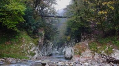 Yew Boxwood Korusu üzerindeki asma köprü, Krasnodar bölgesindeki Sochi şehrindeki şeytan kapısı geçidi. Beyaz kayalar ve sonbaharın sisli sisli nehri.