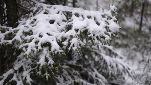 Bola Natal Decorativa Floresta Ramo Queda Neve Inverno Luz Natural — Vídeo de Stock