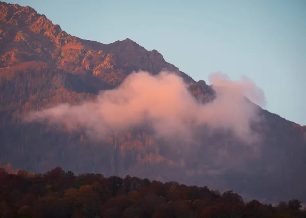 Красивое Розовое Облако Фоне Горы Осенним Лесом Закате — стоковое фото