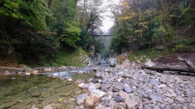 Sochi, Krasnodar bölgesindeki Yew Boxwood Korusu 'nun üzerindeki Hostta Nehri ve Asma Köprüsü.. 