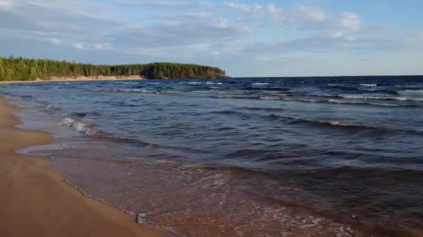 Lac Onega Nord Carélie Avec Vagues Forêt Lors Une Soirée — Video