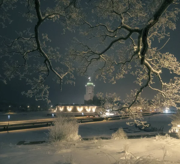 Vyborg Night Winter Castle Island Olaf Tower Illumination — Foto Stock