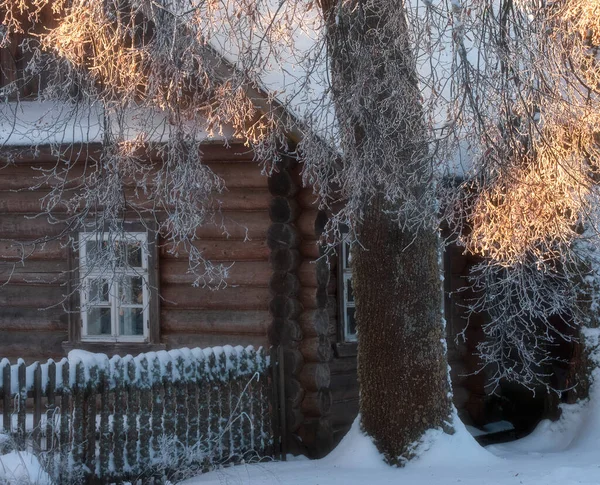 Winter Rural Home Trees Snow Sun — Stok fotoğraf