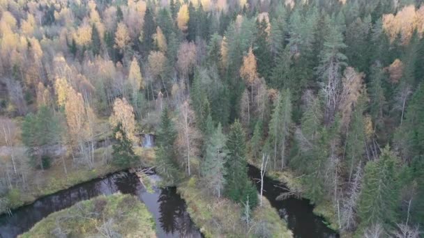 Der Fluss Wald Form Von Yin Und Yang Schleifen Lindulovskaya — Stockvideo