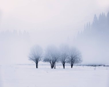 Minimalist kış manzarası, sisli dağların ardında çıplak ağaçlar.