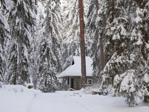Kış Masalı Ormanındaki Ahşap Kulübe — Stok fotoğraf