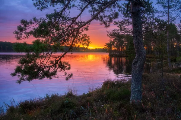 Een Kleurrijke Zonsondergang Het Noordelijke Meer Herfstnatuur Karelië Naar Rusland — Stockfoto