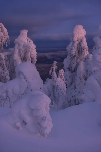 Winterwunderland Lappland Winterurlaub Winterwunderland Winterlandschaft Sonnenuntergang — Stockfoto