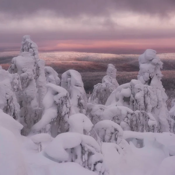 Vinterlandskap Vid Solnedgången Direkt Ljus Med Färgglada Himmel Och Moln — Stockfoto