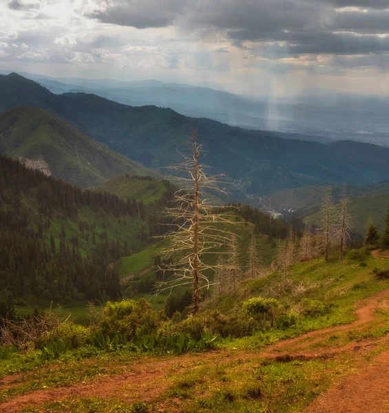 Paisagem Outono Floresta Vale Montanha Perto Almaty Cazaquistão — Fotografia de Stock