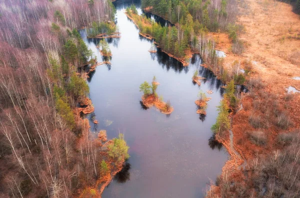 Озеро Невеликими Островами Восени Вид Зверху — стокове фото