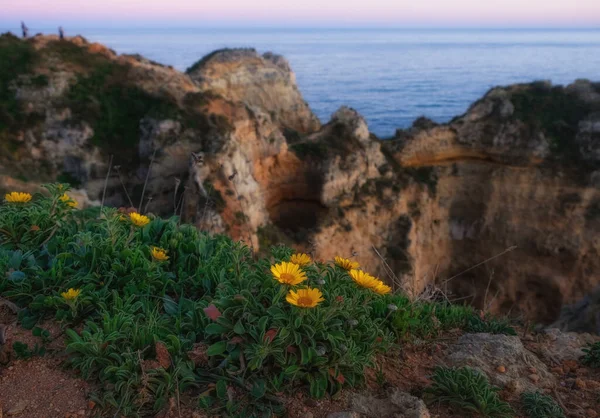 Skały Wybrzeżu Oceanu Atlantyckiego Mieście Lagos Portugalia Wiosną Obrazy Stockowe bez tantiem