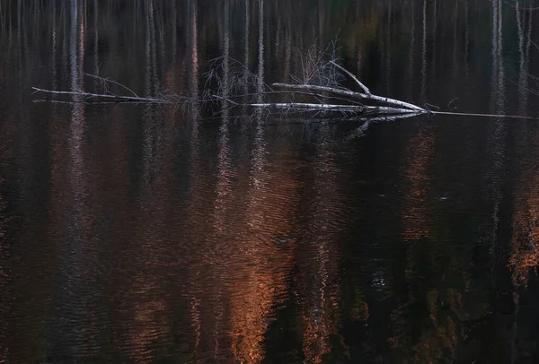 湖畔的秋天 五彩缤纷的树木映衬在平静的水面上 明亮而充满活力的风景 自然背景 — 图库照片
