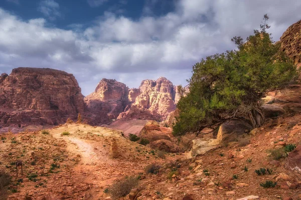 Jordania Petra Pustynna Panorama Tomami Oddali Błękitnym Niebem Nad Nami — Zdjęcie stockowe