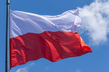 Mavi gökyüzü arka planında Polonya ulusal bayrağı dalgalanıyor. Polonya Cumhuriyeti, PL