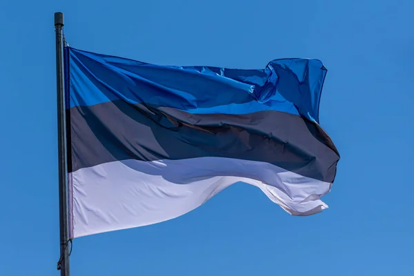 Εσθονική Εθνική Σημαία Κυματίζει Μπλε Φόντο Του Ουρανού Δημοκρατία Της — Φωτογραφία Αρχείου