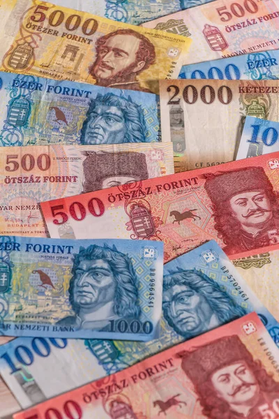 Macar forintinin bir kompozisyonu. Konuları iş, bankacılık, medya vb olarak resmetmek için büyük seçenekler sunan HUF banknotları.