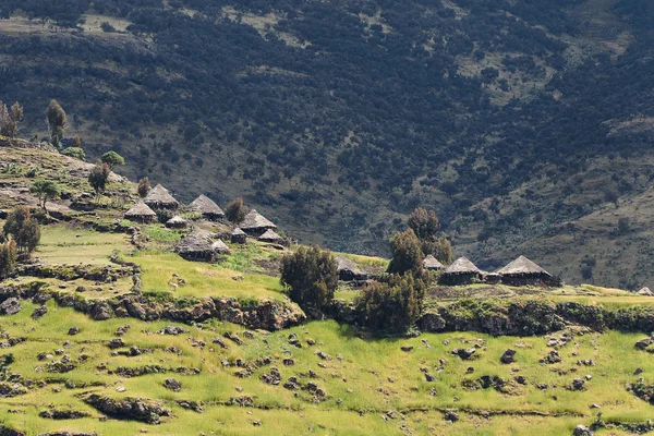 이디오피아에 있는 마. — 스톡 사진