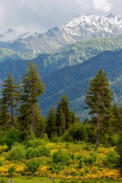 Caucasus mountains — Stock Photo, Image