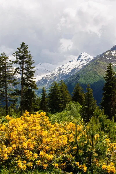 Montañas del Cáucaso Imagen De Stock