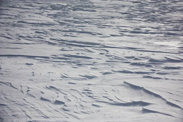 Matin Hiver Ensoleillé Dans Champ Vent Fort Formé Neige Barkhans — Photo