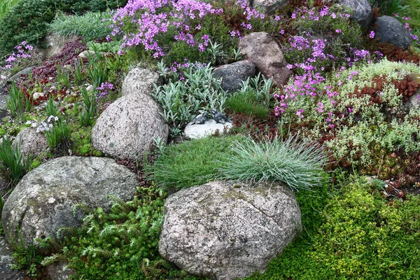 Colina Jardín Decorativo Con Piedras Diferentes Tamaños Diferentes Colores Entre —  Fotos de Stock